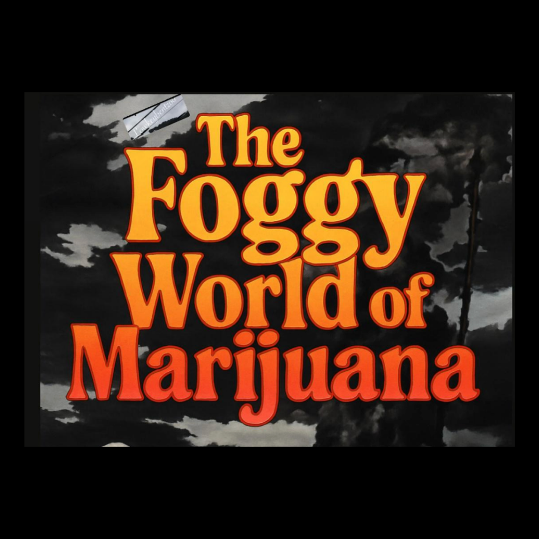 EBOOK: The Foggy World Of Marijuana